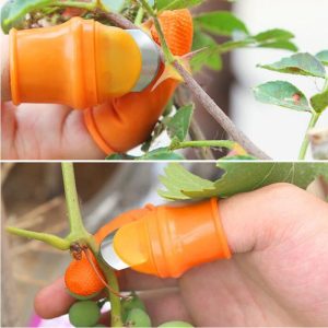 Cueilleur de légumes et de fruits ferme, cueilleur de poivre et de pointes, cueilleur de raisin en fer pour vergers de jardin et Patch de légumes