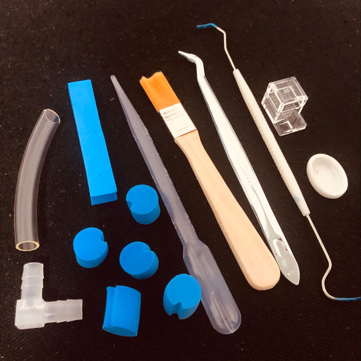 10 in 1 set Acrylic Ant Farm Tools Pet Anthill Ants House Supplies Ant Nest Accessories For Ant caring set (10 in 1 set)